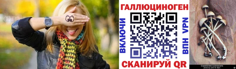 МЕГА вход  Пласт  Псилоцибиновые грибы Magic Shrooms 